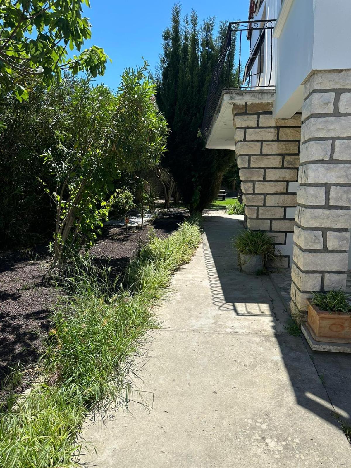 Appartement L'Olivier Arles Exterior foto